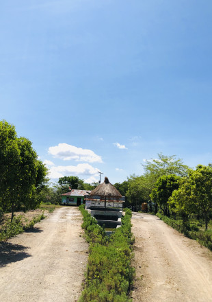 Album : Lainnya